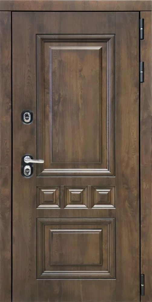 Входная дверь ДвериПРО Аура Фараон-2 (16мм, мореный дуб) DPRO196879 внешняя сторона